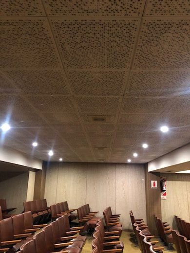(AUDIO) Colegio Santa Teresa de Jesús - Abril de 2019. - foto 12