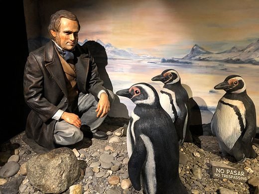 (AUDIO) Museo Pequeña Historia Fueguina Ushuaia - Tierra del Fuego- Argentina - foto 21